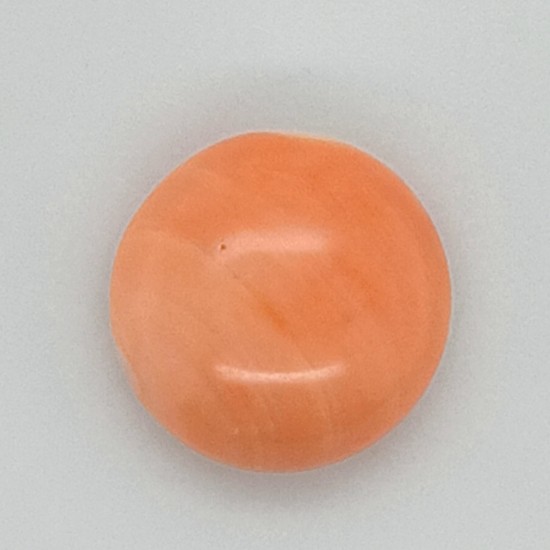 Coral (Moonga) 5.78 Ct Gem Quality Coral (Moonga) 5.78 Ct Gem Quality